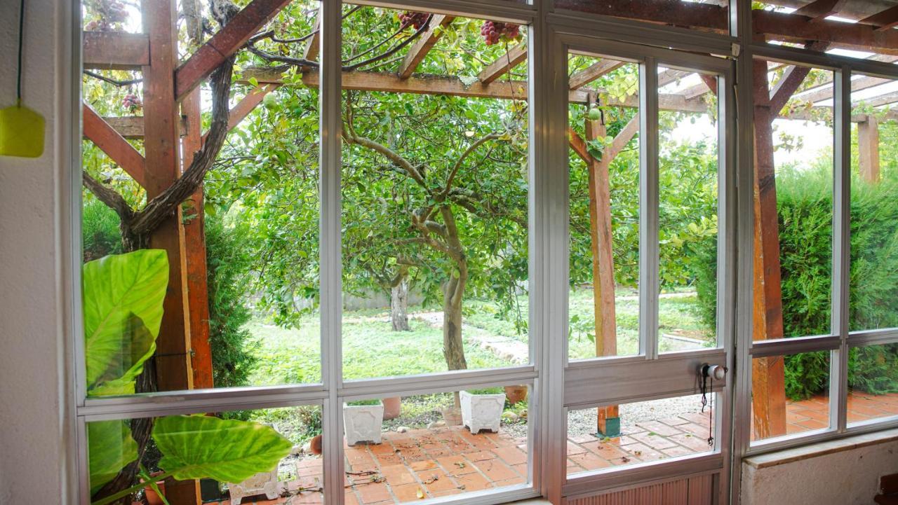 Casa Do Avo Machado Villa Abrantes Eksteriør billede